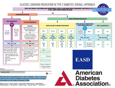 EDA Guidelines .